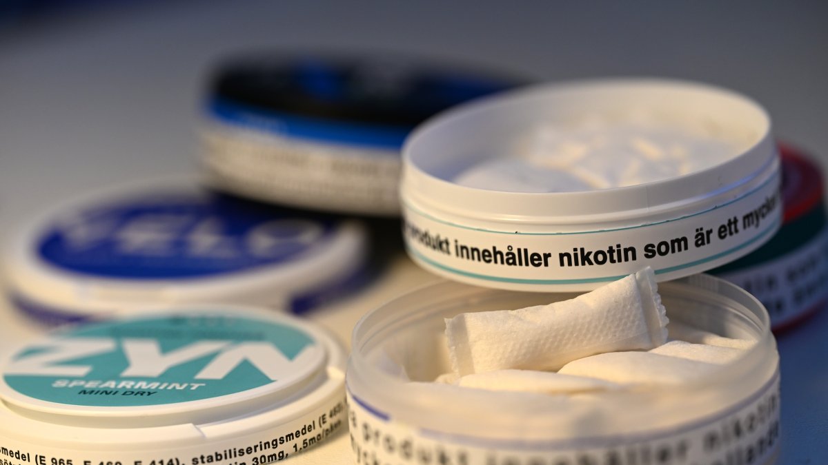 Nicotine pouch use surges among teens – NBC 7 San Diego