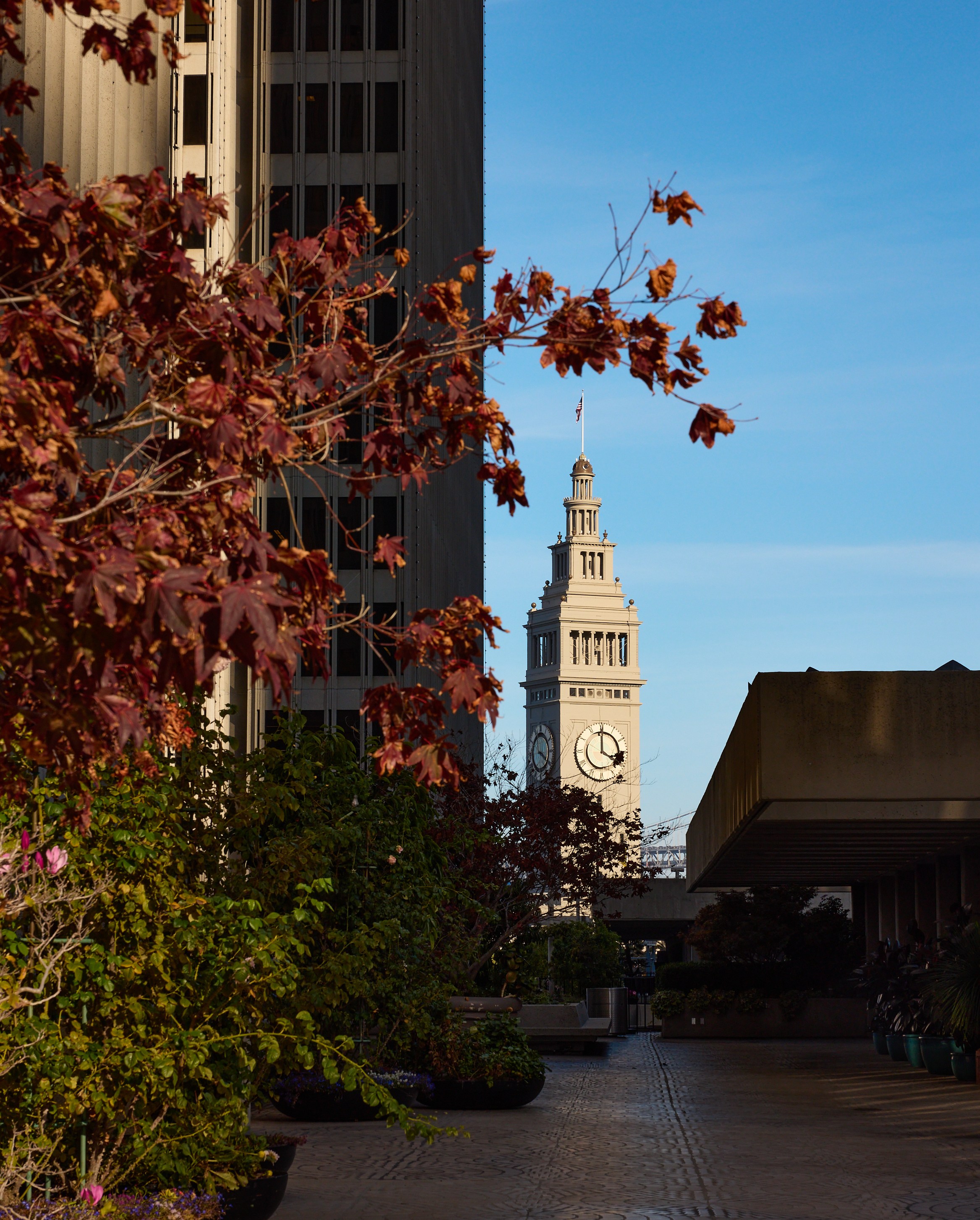 San Francisco’s Embarcadero Center with the Ferry Building clock tower in the background.