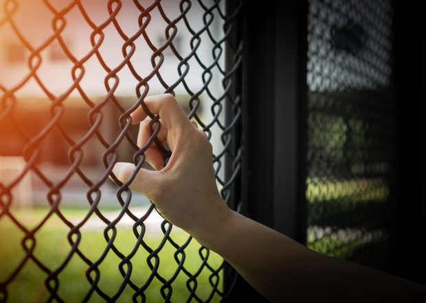 The fastest growing group of human trafficking victims in Orange...