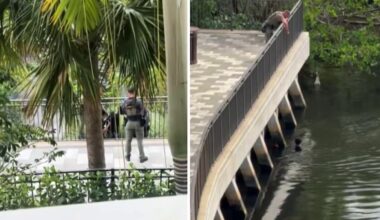 18-year-old accused of running from deputies and hiding in Oakland Park canal – NBC 6 South Florida