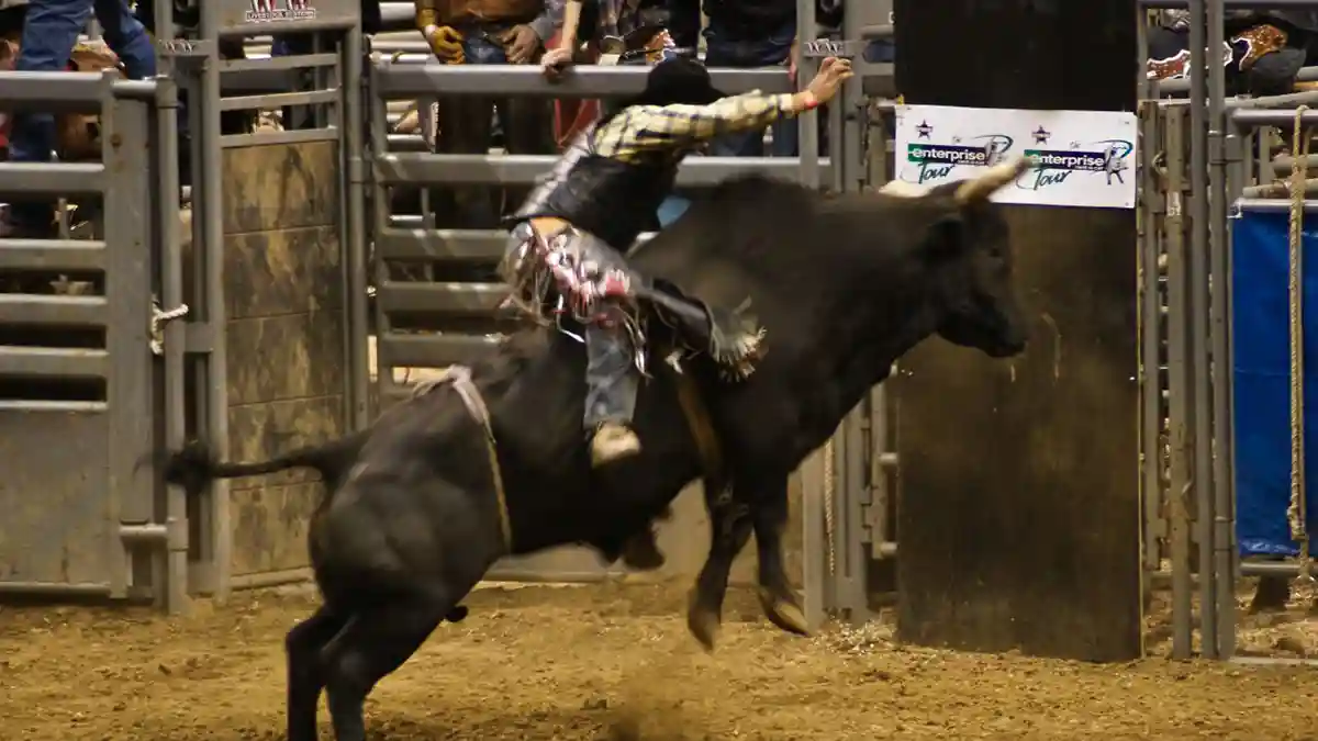 Professional Bull Riding (PBR) - Photo by Paul J Everett CC-by-2.0 via Wikimedia Commons