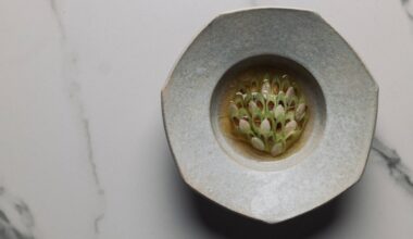 Restaurant Naides: Alums From Some of the World’s Best Restaurant Kitchens Bring Fine Dining Filipino Cuisine to San Francisco