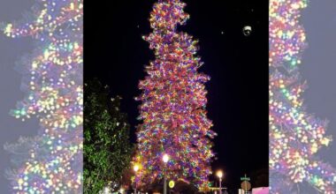 50th annual Coronado holiday parade and tree lighting - the brightest yet
