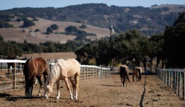 Santa Clara County takes a step back on agricultural rezoning plan