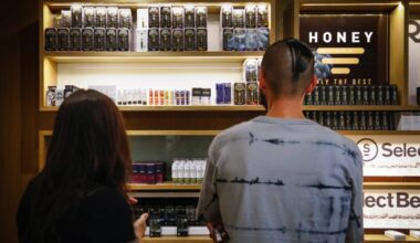 How San Diego plans to crack down on illegal cannabis — and salvage its budget – San Diego Union-Tribune