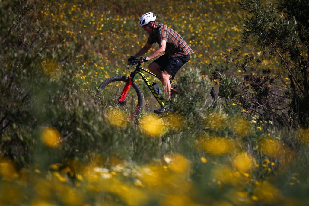 Balboa Park parking fees an attack on our quality of life – San Diego Union-Tribune