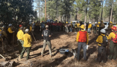 Foresters, prescribed-fire experts swap knowledge at California training to reduce wildfire impacts