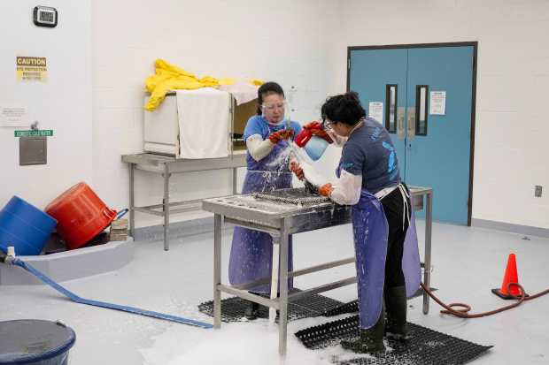 From left, Volunteer Donna Minamide and Senior Wildlife Rehabilitation Technician...