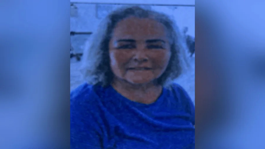 Cindy L. Odenthal is a 68-year-old woman with grey hair and brown eyes, who uses a walker and was last seen wearing a green jacket, black leggings, and black shoes.