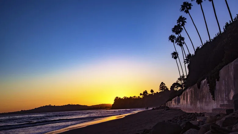 Butterfly Beach at sunset with palm trees