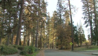 Victim in Grass Valley homicide investigation identified as regular visitor of skate park