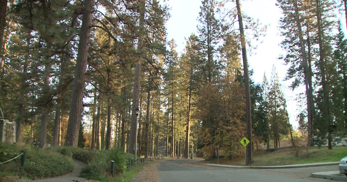 Victim in Grass Valley homicide investigation identified as regular visitor of skate park