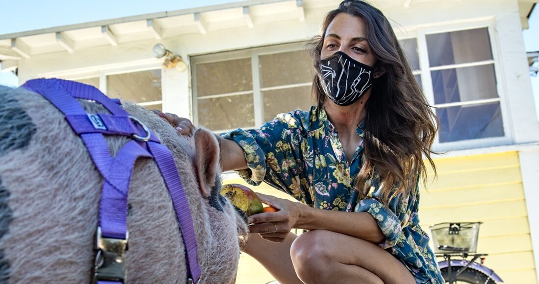 Dozens of renters say she scammed them; now Anne Bergstedt is facing 30 felonies • Long Beach Post News