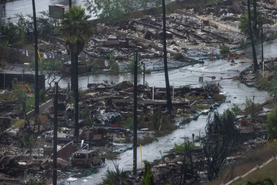 Rain comes down on the Palisades Fire zone on Saturday, Nov. 15, 2025, in the Pacific Palisades section of Los Angeles. (AP Photo/Ethan Swope)