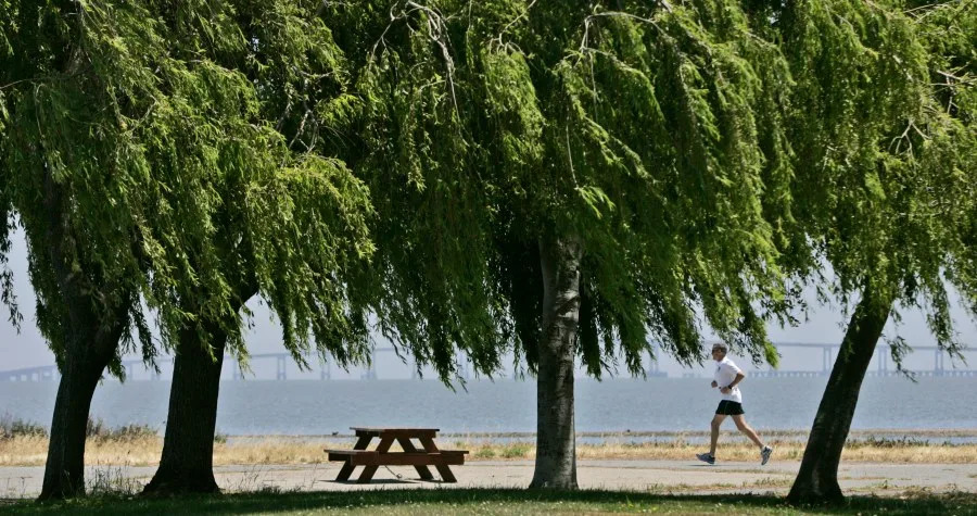 A runner jogs on a coastal trail with the San Mateo Bridge in the background. (AP Photo/Marcio Jose Sanchez)