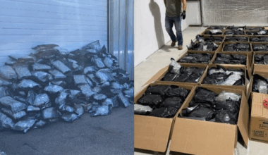 Modesto duo arrested as Mississippi authorities suspect $1M in marijuana trafficked from California