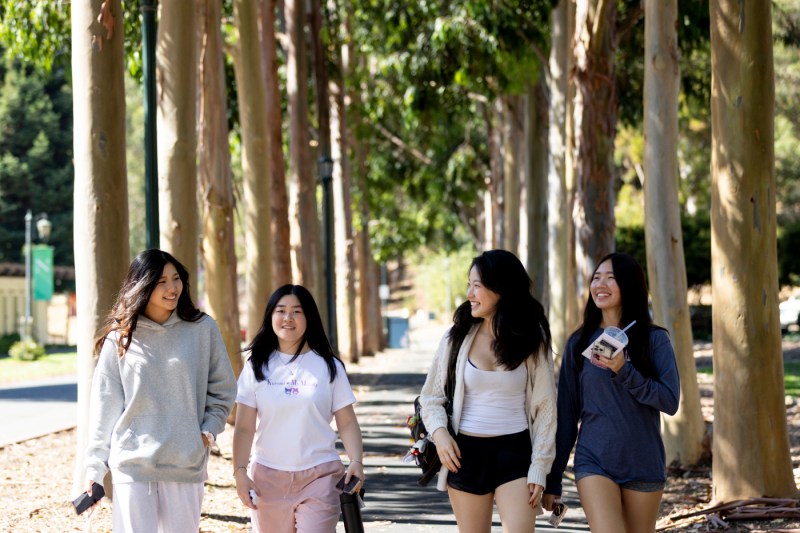 Four Northeastern University students walk through a grove of tall, straight trees on the Oakland campus during Orientation Week, with dappled sunlight filtering through the canopy.