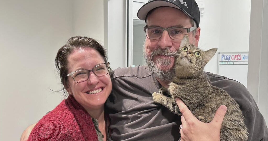 Missing Idaho cat found in San Francisco, reunited with family after mysterious disappearance