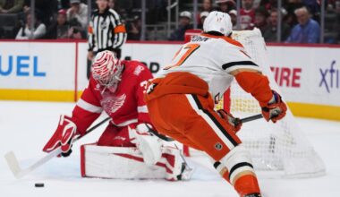 Alex DeBrincat scores twice, Red Wings beat Ducks to end 3-game slide