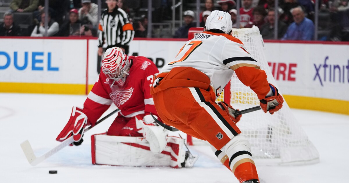 Alex DeBrincat scores twice, Red Wings beat Ducks to end 3-game slide