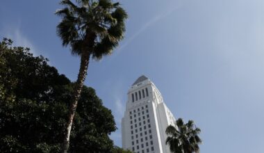 Want to reshape LA city government? Here’s how you can help