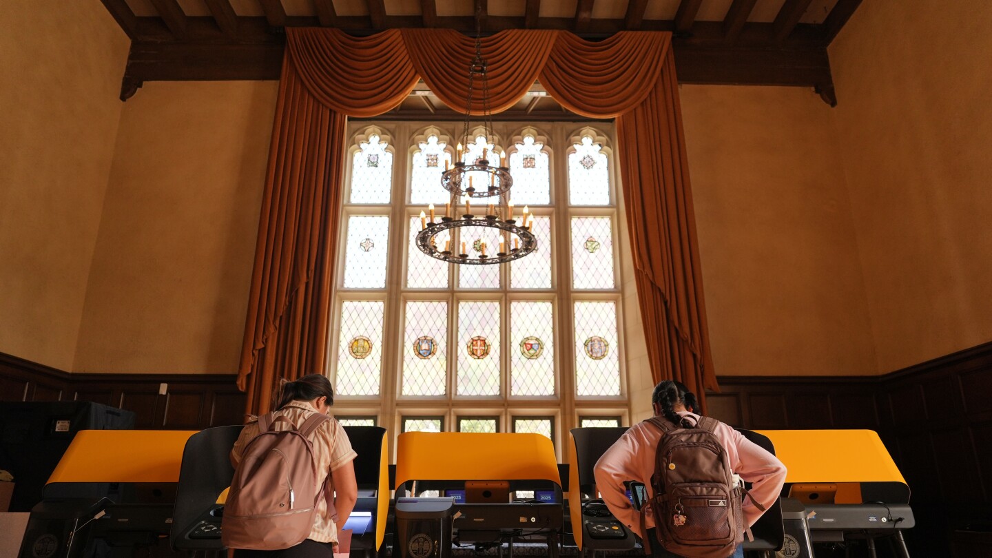 Musk makes false claim about voter ID in New York and California