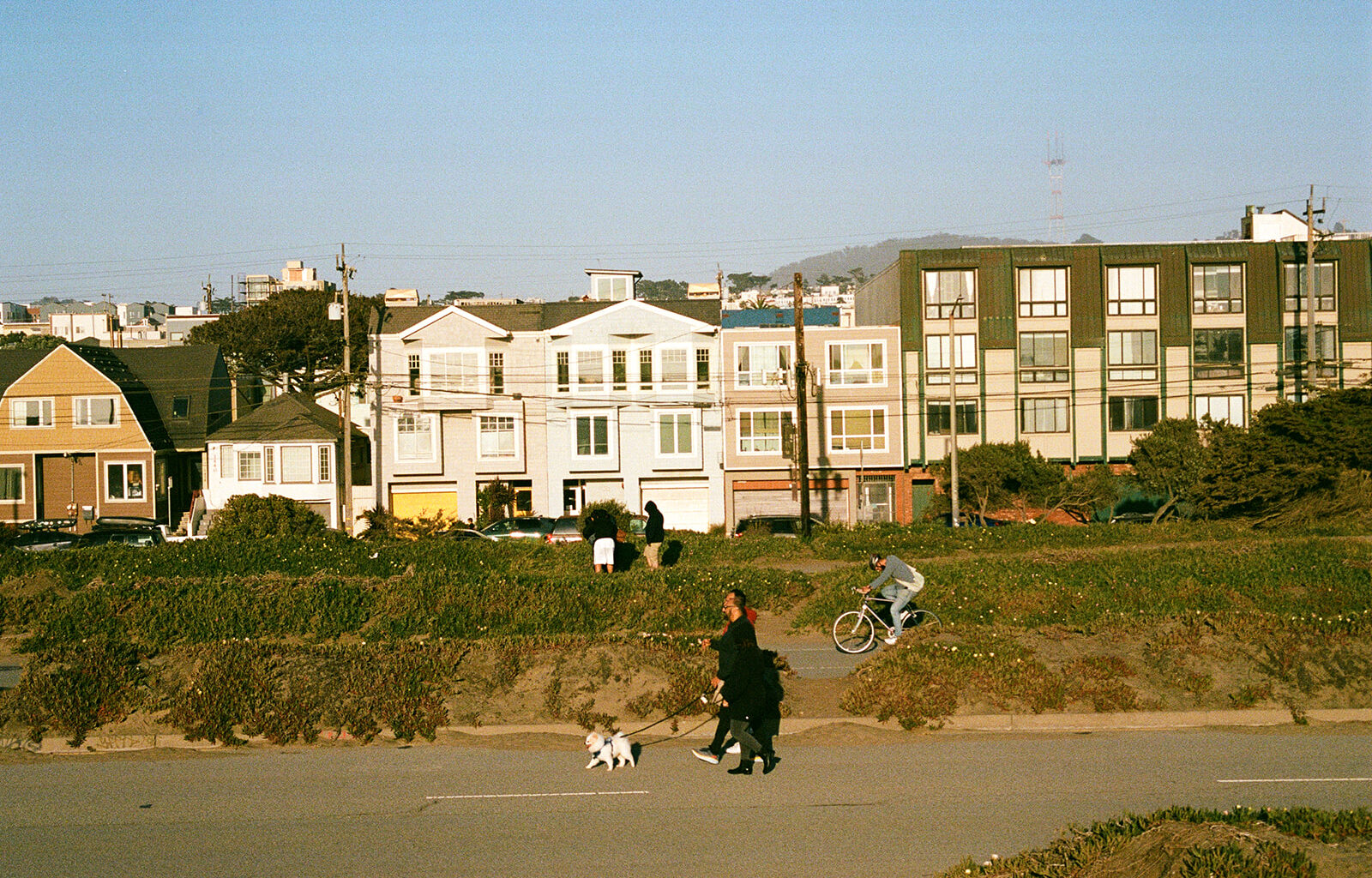 People walk dogs and ride bicycles along a street with rows of houses and apartment buildings in the background on a clear day.