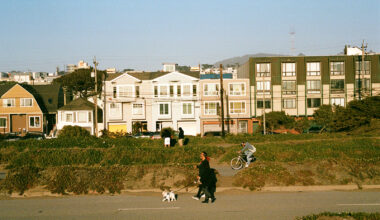 People walk dogs and ride bicycles along a street with rows of houses and apartment buildings in the background on a clear day.