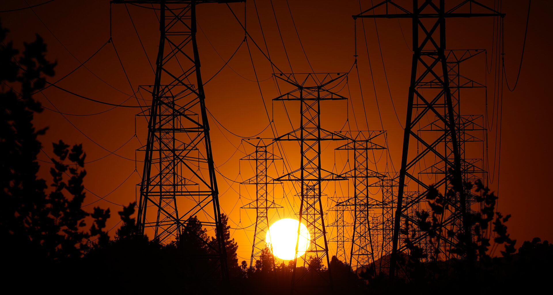 California is drowning in hazardous forest waste