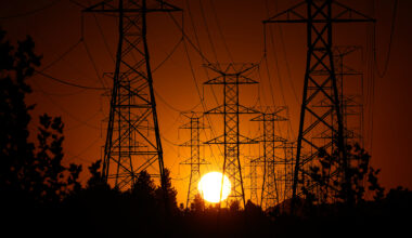 California is drowning in hazardous forest waste