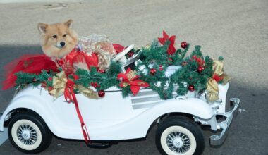 Furry fashion reigned at the annual Pet Parade in Gaslamp Quarter