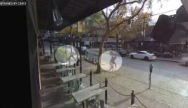 Sacramento security officer attacked in front of midtown restaurant, suspects at large