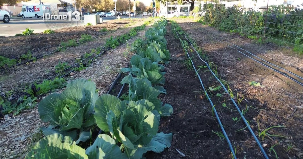 Three Sisters Gardens petitions for long-term future in West Sacramento