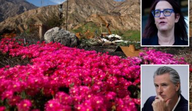 California fire law could force homeowners to rip out gardens