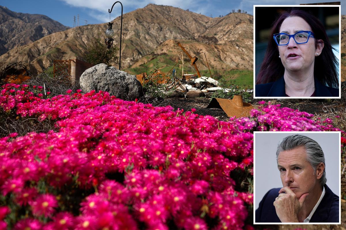 California fire law could force homeowners to rip out gardens