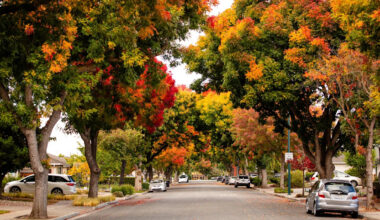 Yahoo lifestyle home