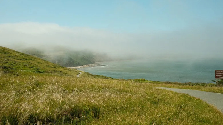 Fog collects above the beaches and coastal meadows of Point Reyes