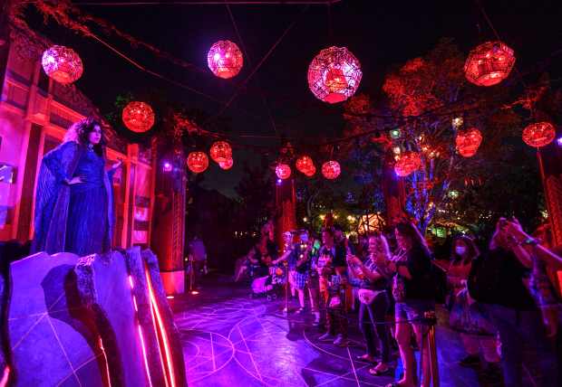 Agatha Harkness, from WandaVision, greets visitors inside the Ancient Sanctum at Avengers Campus during Oogie Boogie Bash, A Disney Halloween Party, in California Adventure at the Disneyland Resort in Anaheim, CA, on Thursday, September 9, 2021. (Photo by Jeff Gritchen, Orange County Register/SCNG)
