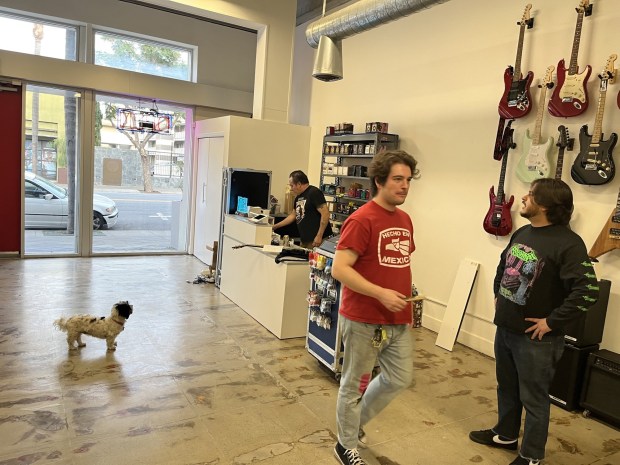 Guitar Wars store and music shop co-owners (left-to-right) Carlos Gascon, Josiah Kverno, and Brandon Gascon are seen inside the retail establishment on Dec. 2, 2025.(George Avalos/Bay Area News Group)