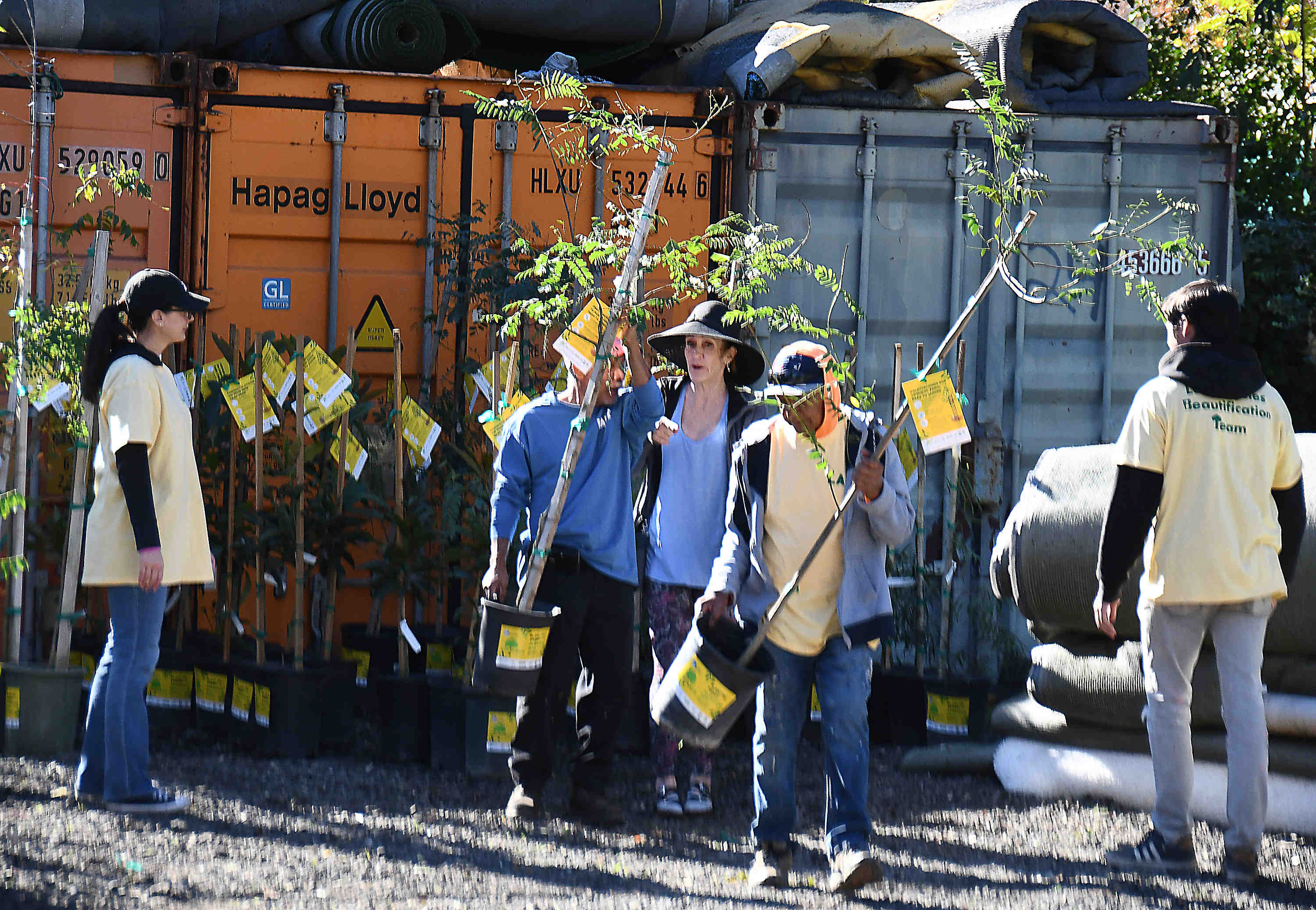 Volunteers get the free trees ready to pickup Saturday, Encino...