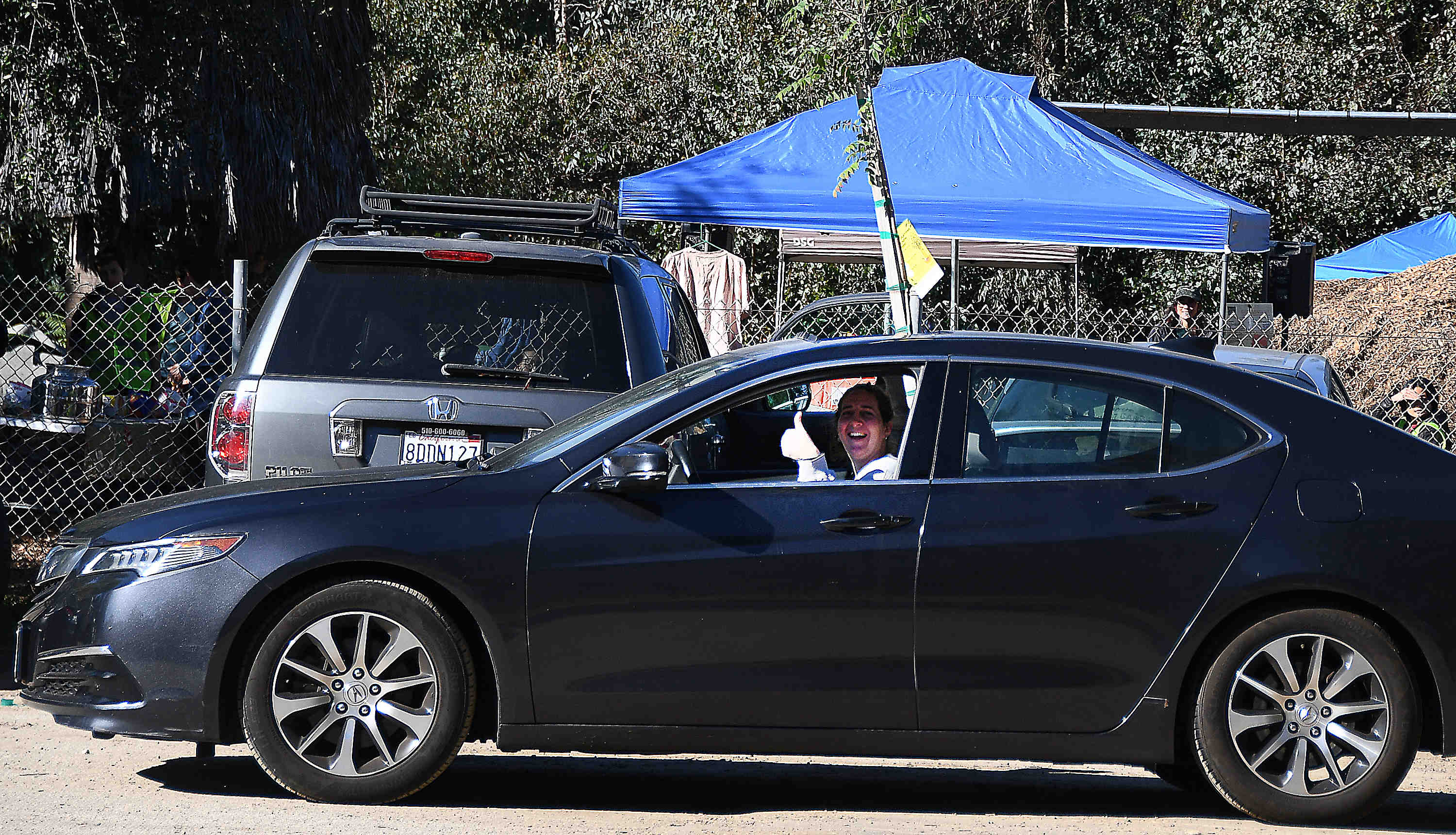 People drive off with free trees in their trucks and...
