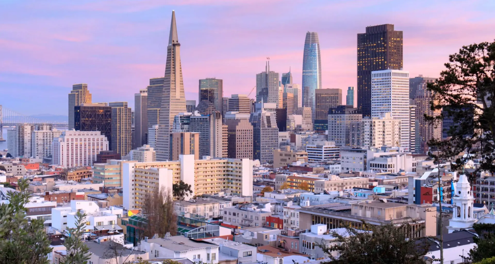 The San Francisco Standard