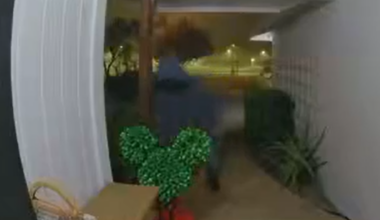 Thief steals more than $1,000 worth of Disney Christmas decorations from San Jose home