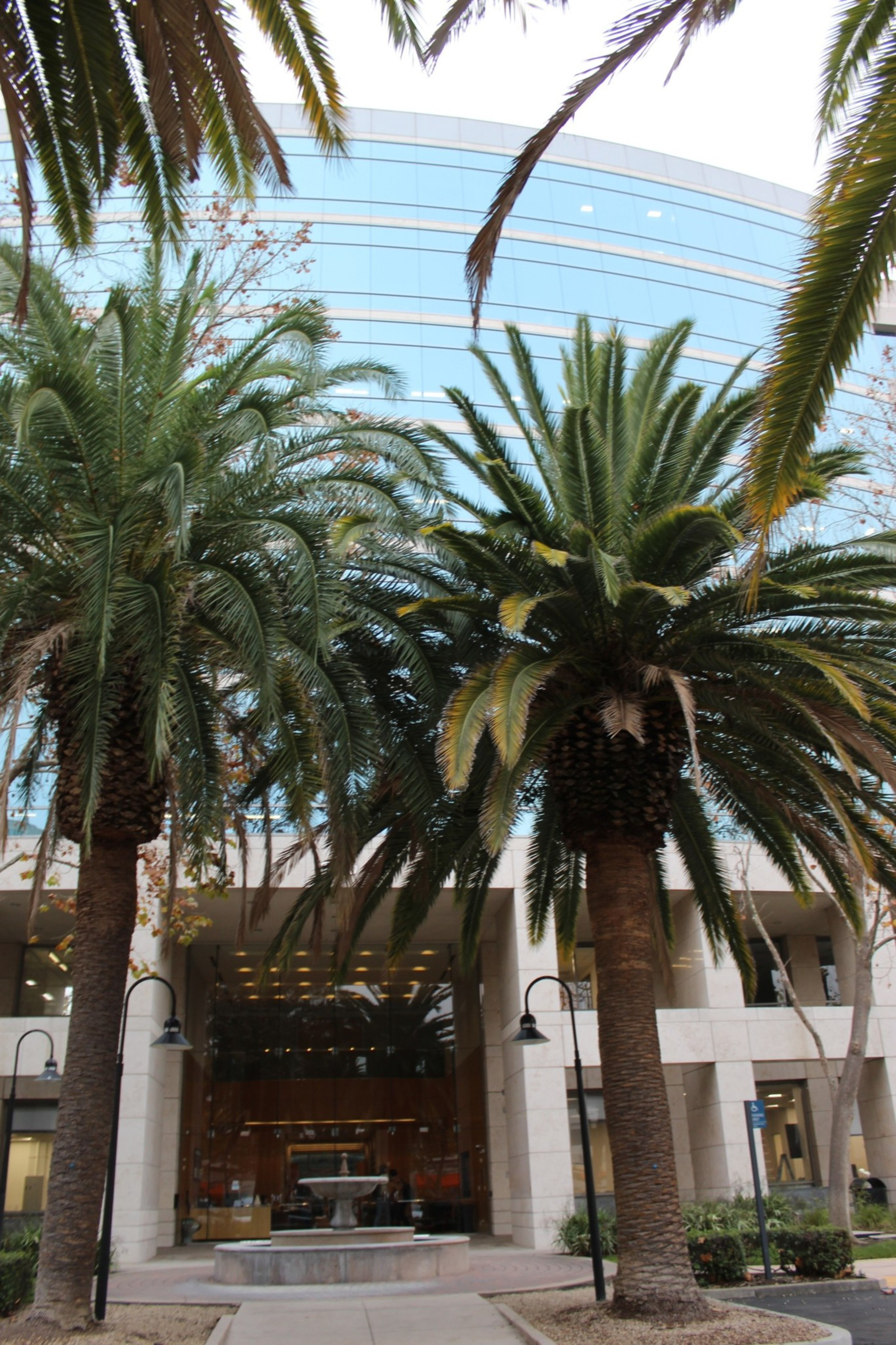 Two tall palm trees stand in front of a modern glass building with a fountain and arched entrance below.