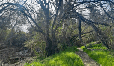 San Jose Creek Multipurpose Path Project Construction Starts Dec. 15  | Outdoors