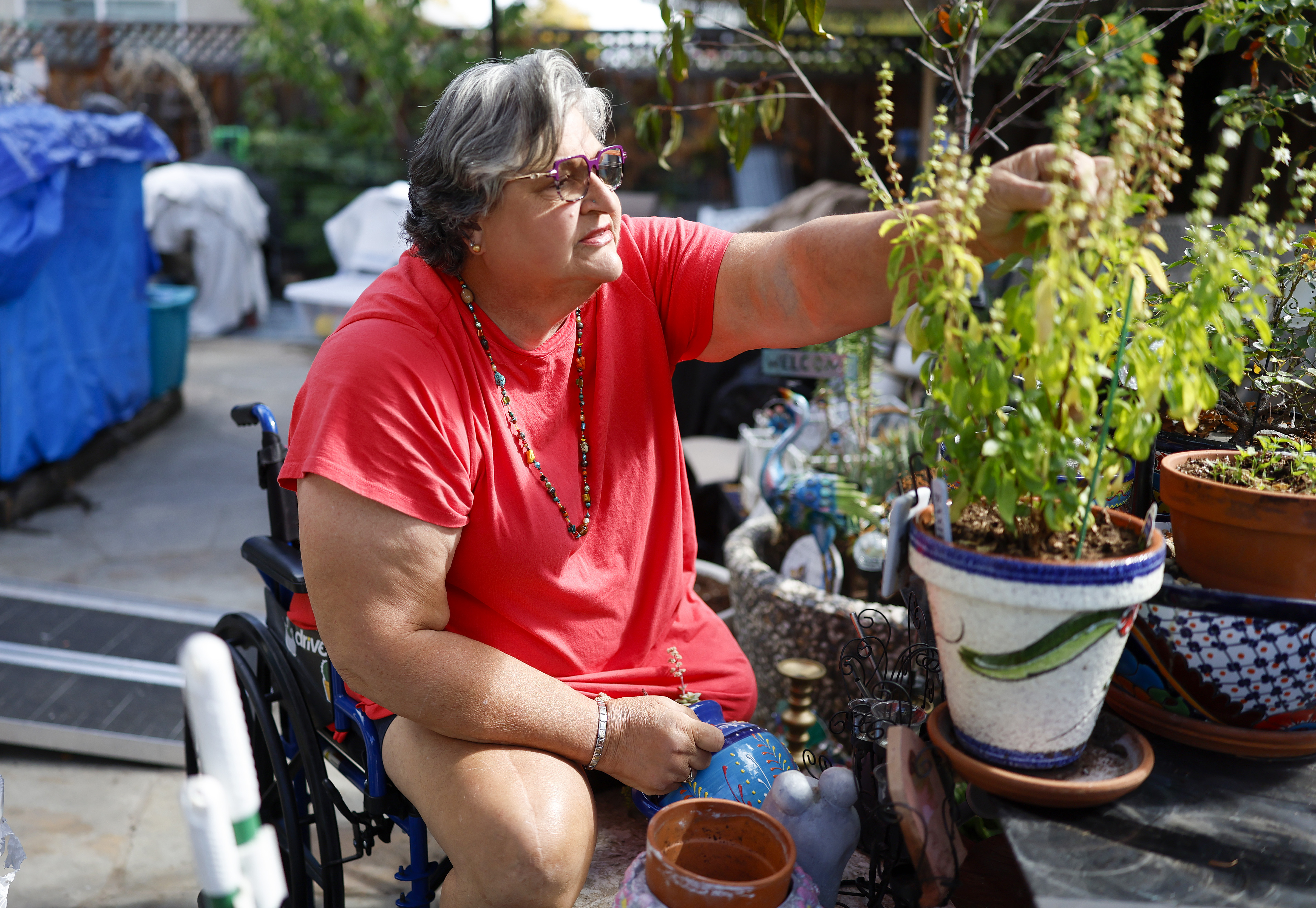 Marisa Carlini checks on her basil plant in the backyard...