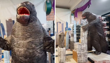 Wife creates 'Godzilla rage room' for man having tough year