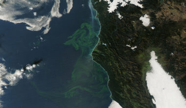 Eerie bloom off of Northern California – The Mercury News