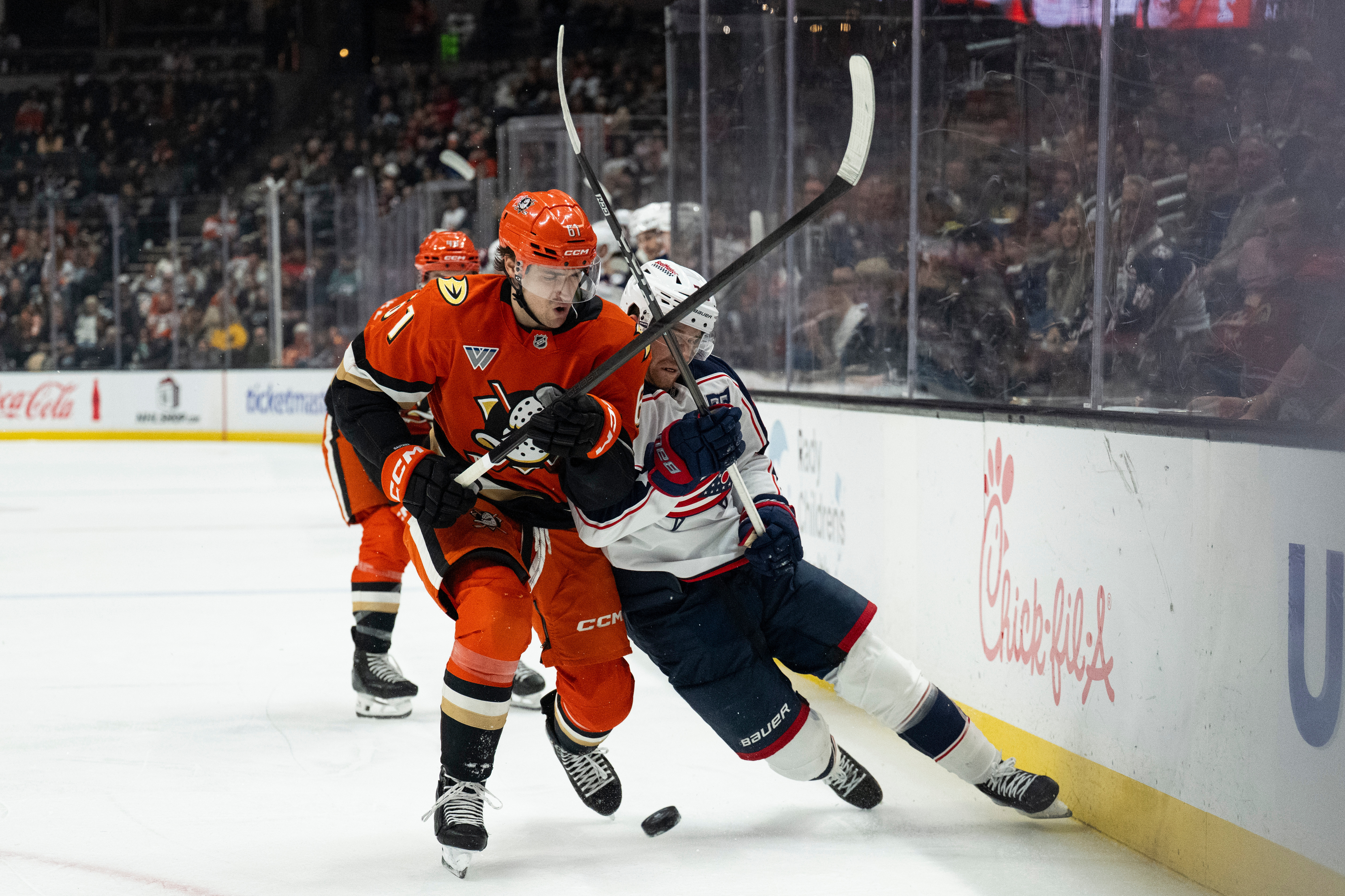 Ducks left wing Cutter Gauthier, left, checks Columbus Blue Jackets...