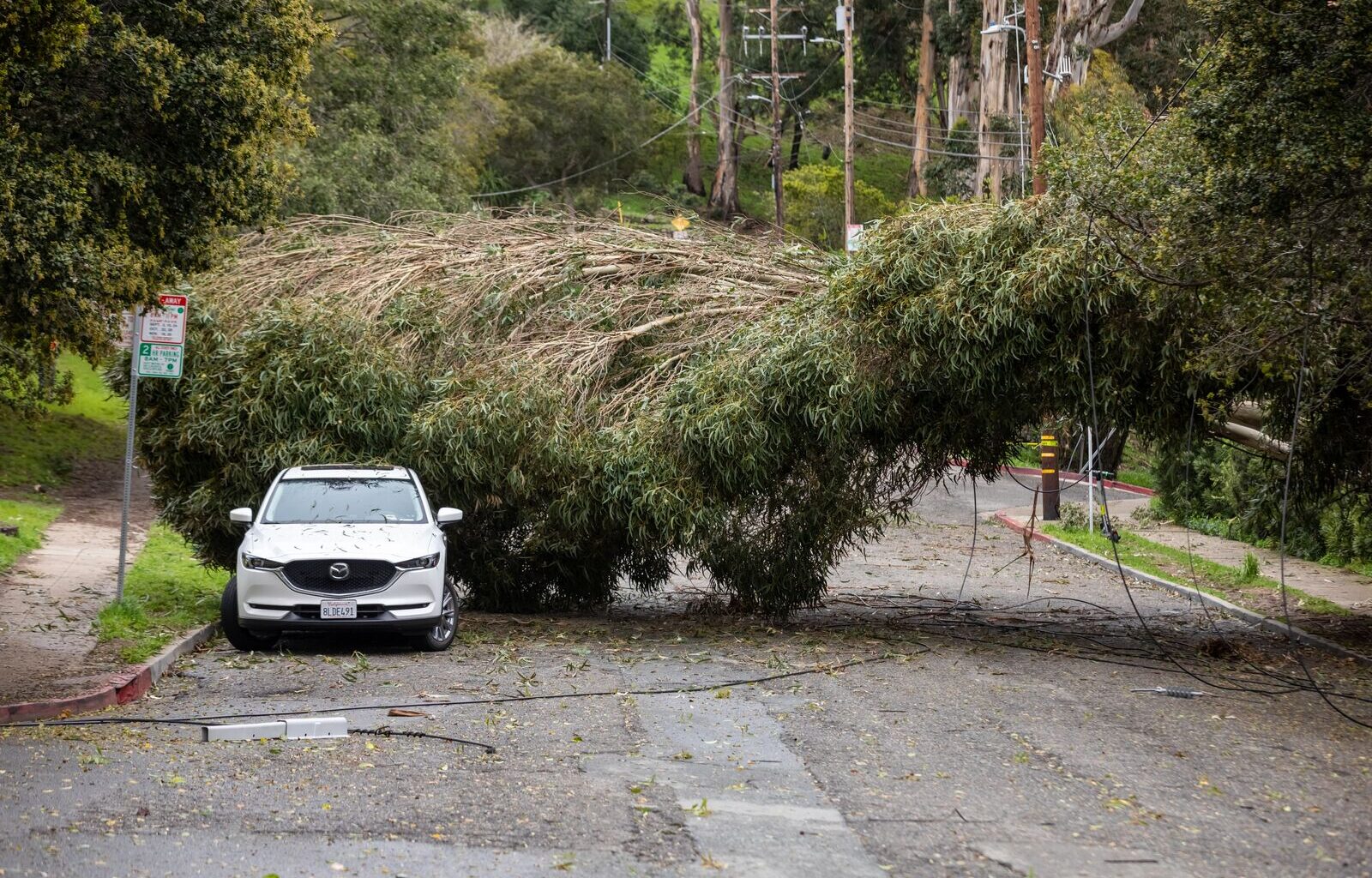Soaked Berkeley bracing for more rain and dangerous winds